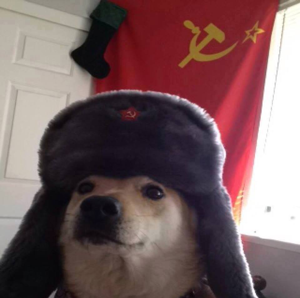 daa